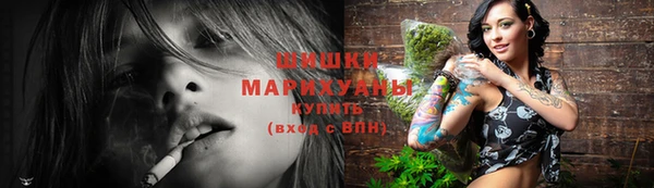 прущие грибы Богородицк