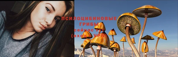 Альфа ПВП Волосово